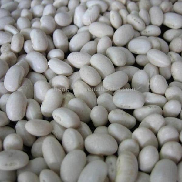  White Kidney Beans (White Kidney Bohnen)