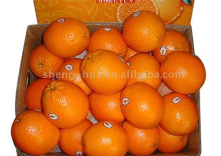  Navel Orange (Пуп Оранжевый)