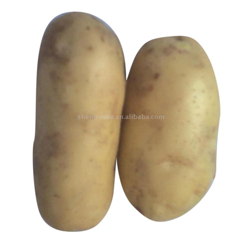  Potato (Картофель)
