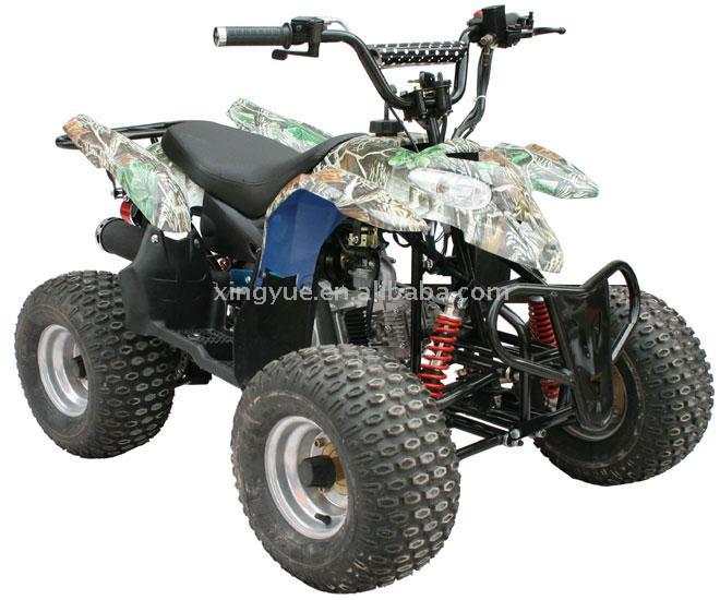  EPA & CE Approved ATV (EPA & CE Approved ATV)