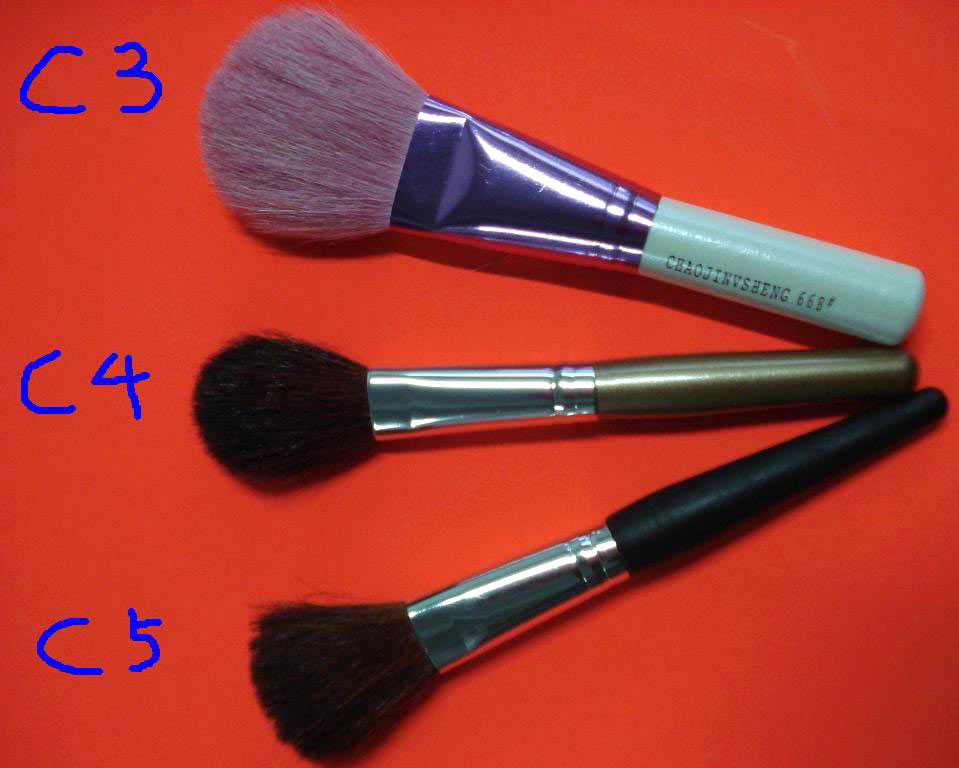  Cosmetic Brush