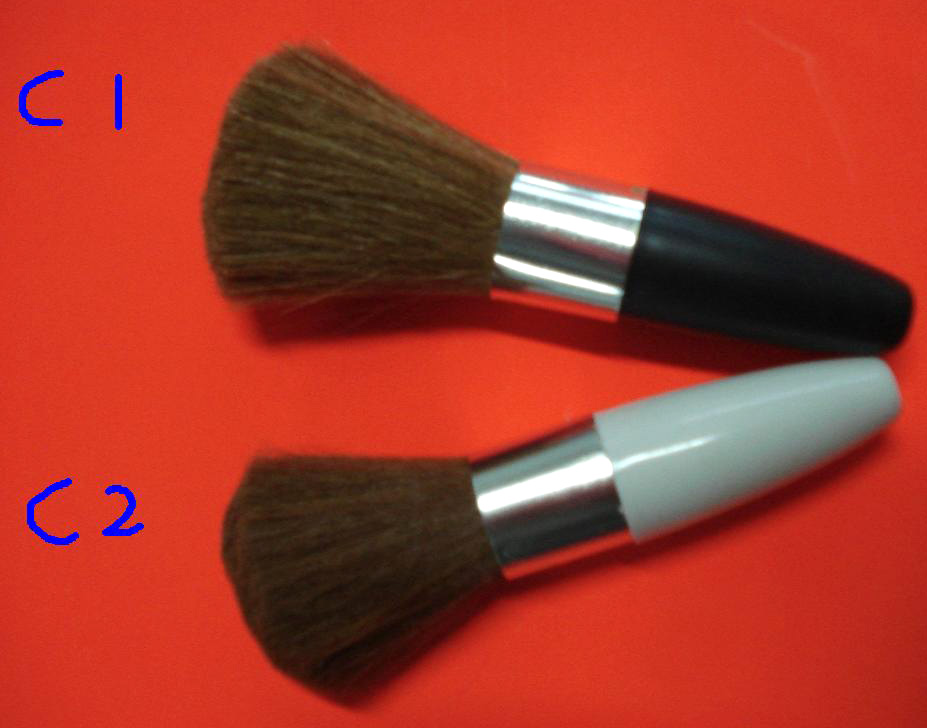  Cosmetic Brush