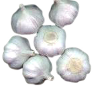  Garlic Oil (Knoblauchöl)