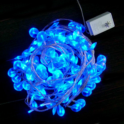  Chrisrmas Lights