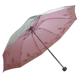  Umbrella (Umbrella)