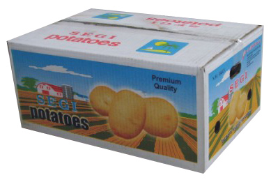  Carton ( Carton)