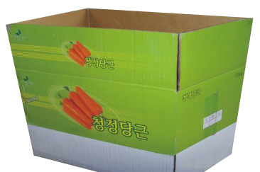  Carton ( Carton)