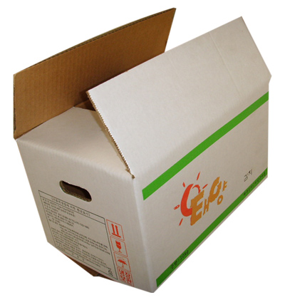  Carton (Упаковка)