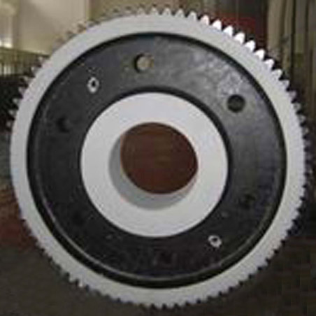  Spur Gear (Spur Gear)