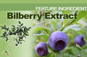  Bilberry P.E (Черника возможная ошибка)