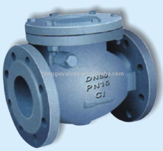  Swing Check Valve (Rückschlagklappe)