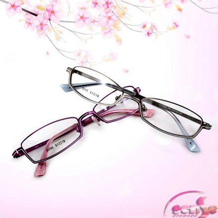  2007 Newest Optical Glasses (Metal Eyewear Frame AD3055) ( 2007 Newest Optical Glasses (Metal Eyewear Frame AD3055))