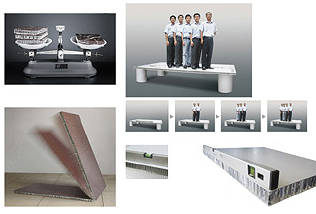  Aluminum Honeycomb Panel (Alu-Waben-Panel)
