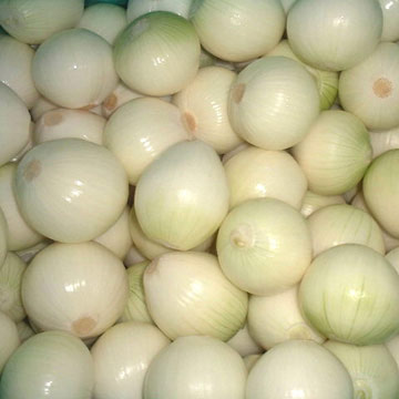  Fresh Preserved Onion ( Fresh Preserved Onion)