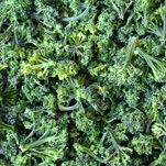  Dehydrated Broccoli Florets 30mm