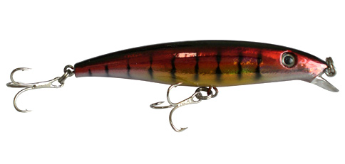  Hard Lure