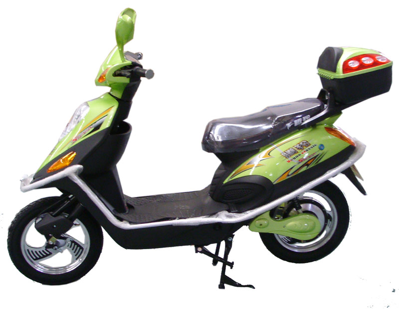  TDR094Z Electric Scooter (TDR094Z Electric Scooter)