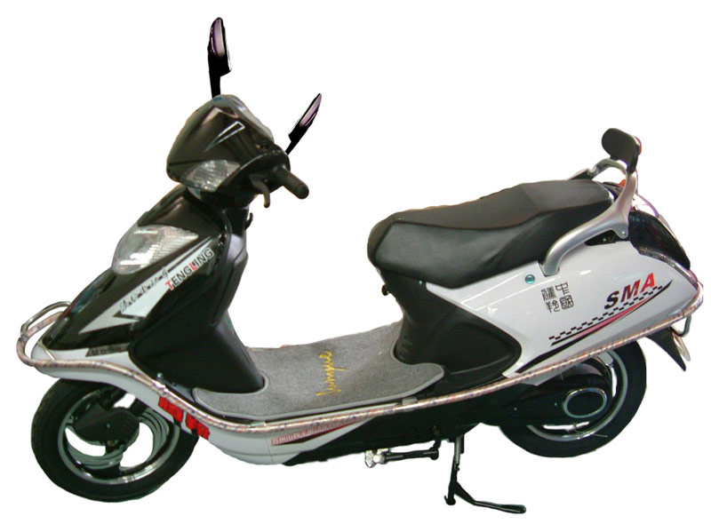  TDR124Z Electric Scooter (TDR124Z Electric Scooter)