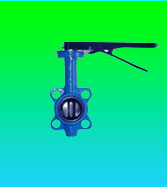  Butterfly Valve