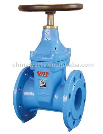  Gate Valve (Gate Valve)