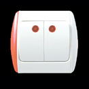  Switch ( Switch)