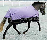  Horse Blanket (Horse Blanket)