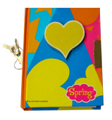  Diary with Lock (Tagebuch mit Schloss)