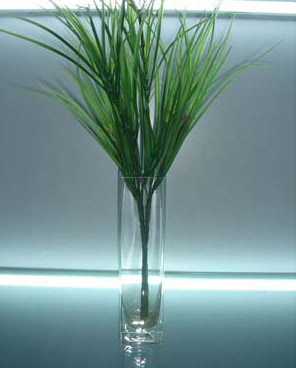  Glass Vase (Стеклянная ваза)