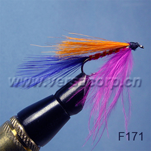  Streamer Fly (Streamer Fly)