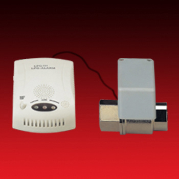 Gas Detector with 1" Valve ( Gas Detector with 1" Valve)