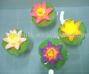  Flash Flowers ( Flash Flowers)