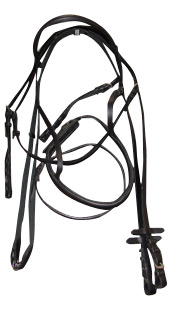  Bridle, Girth (Horse Riding Products)