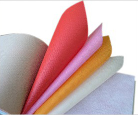  Non-Woven ( Non-Woven)