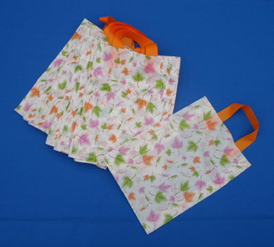  Shopping Bag (Shopping Bag)