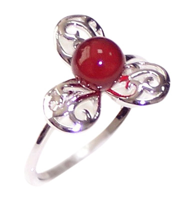 Ringe (Ringe)