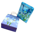  PP Shopping Bag ( PP Shopping Bag)