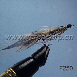 Streamer Fly (Streamer Fly)