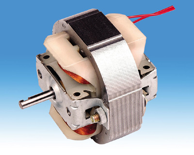  Shade Pole Motor 5813 (Shade Pole Motor 5813)