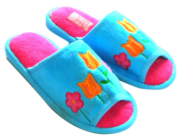  Ladies` Slipper ()