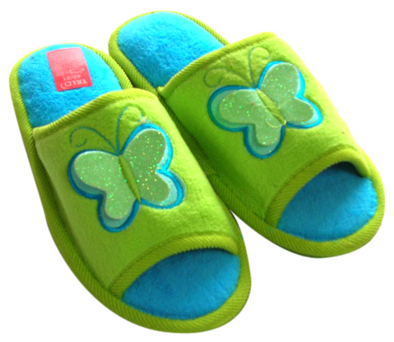  Ladies` Slipper (Ladies `Slipper)
