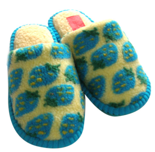  Ladies` Slipper ()