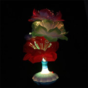  Glow Flowers ( Glow Flowers)