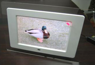  8" Digital Photo Frame (8 "Digital Photo Frame)