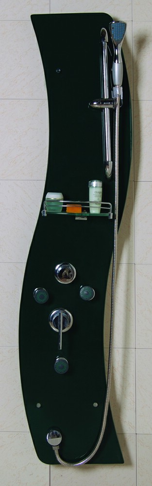  Shower Panel