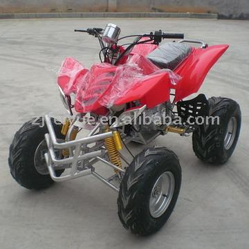 200cc Water Cooled ATV with Speedometer ( 200cc Water Cooled ATV with Speedometer)