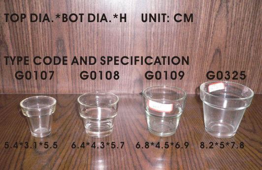  Glass Cup