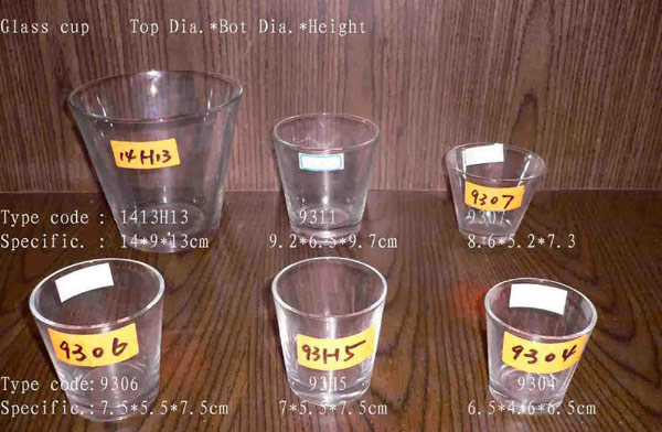  Glass Cup