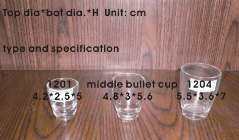  Glass Cup ( Glass Cup)