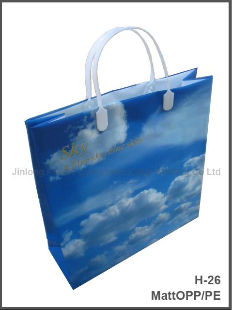  Shopping Handle Bag (Покупки ручка сумки)