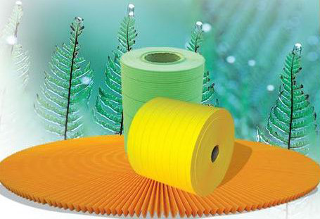  Wood Pulp Filter Paper (Zellstoff-Filterpapier)